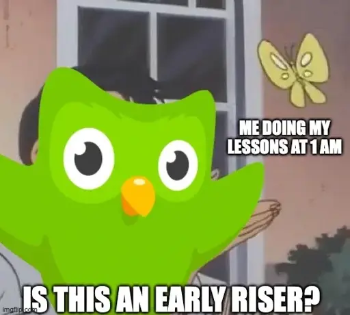 An "is this a pigeon" meme, where the original has a character misidentifying a butterfly as a pigeon.

Here, the duolingo owl is the character gesturing at the butterfly. The butterfly is labeled "me doing my lessons at 1 am". The caption says "is this an early riser?"